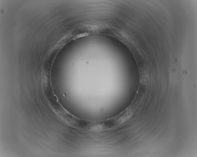 X0000076250456200610122209