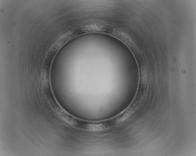 X0000076250457200610122209