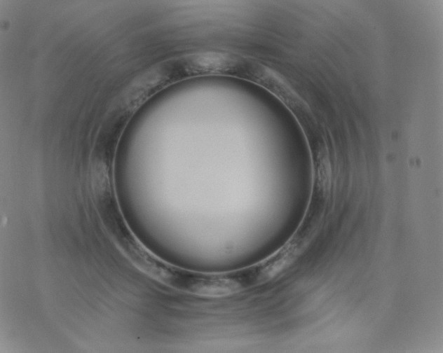 X0000076250459200610122209