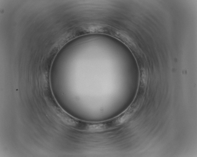 X0000076250461200610122209