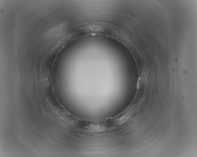 X0000076250464200610122209