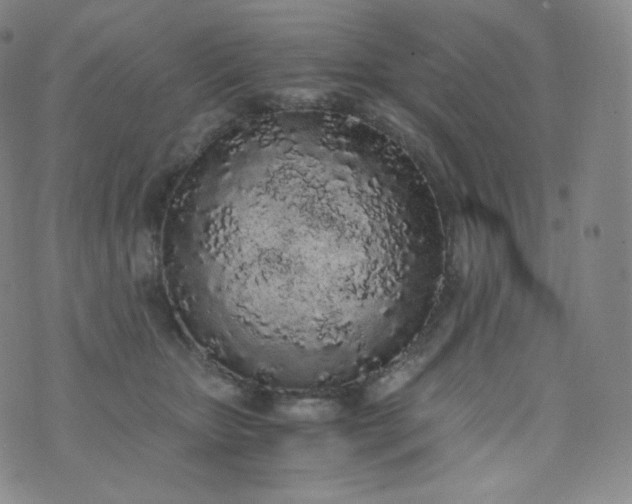 X0000076250467200610122210