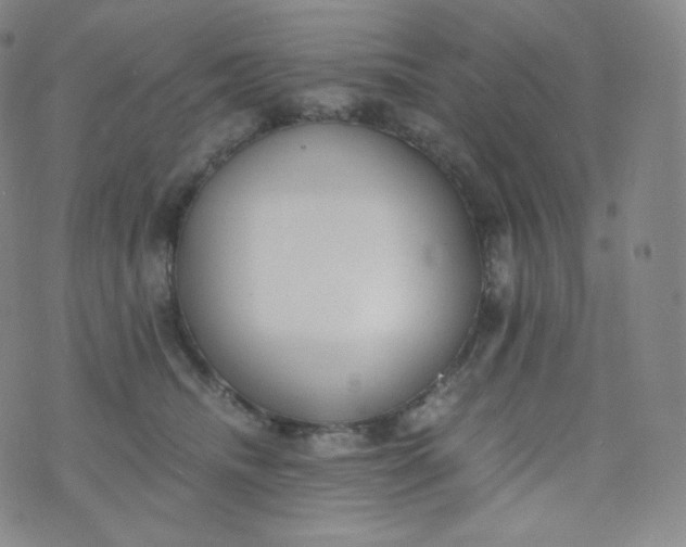 X0000076250468200610122210