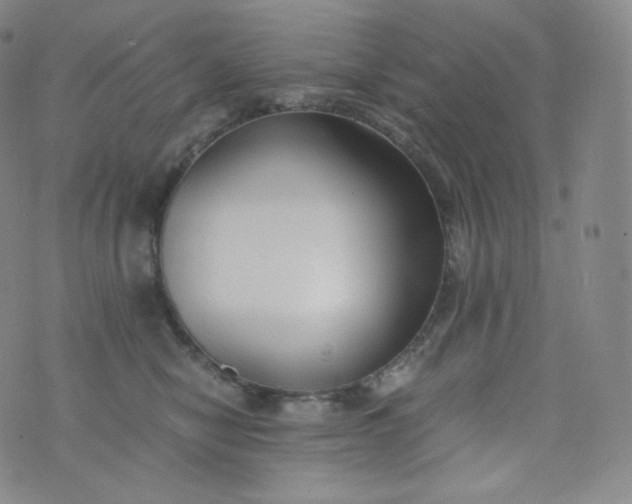 X0000076250470200610122210