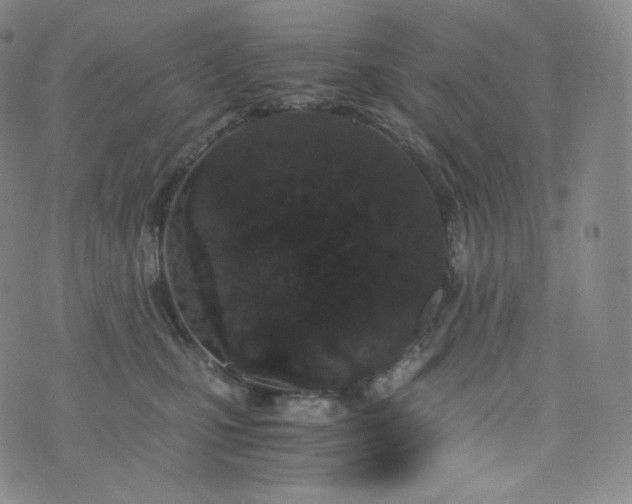 X0000076250471200610122210