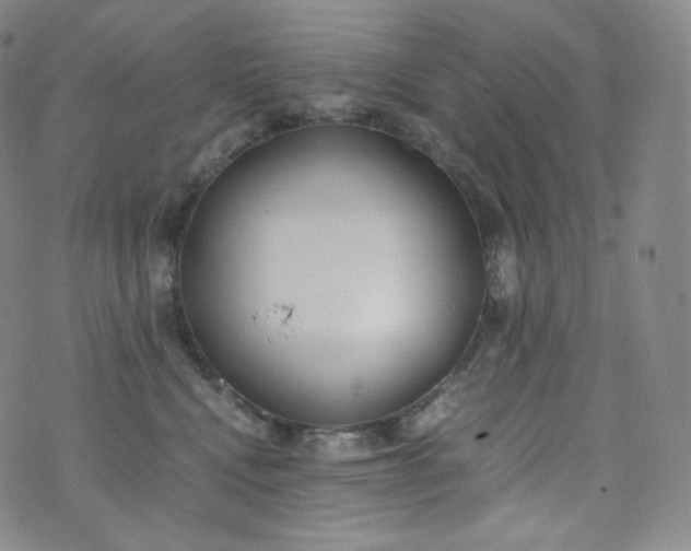 X0000076250472200610122210