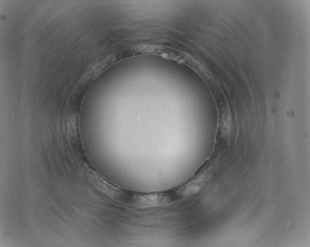 X0000076250473200610122210