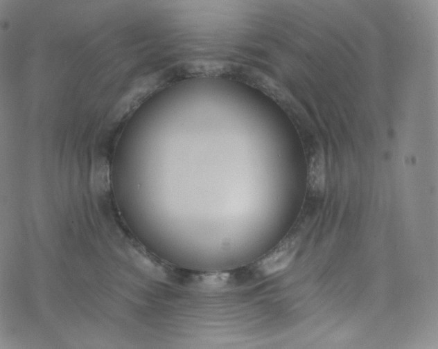 X0000076250474200610122210