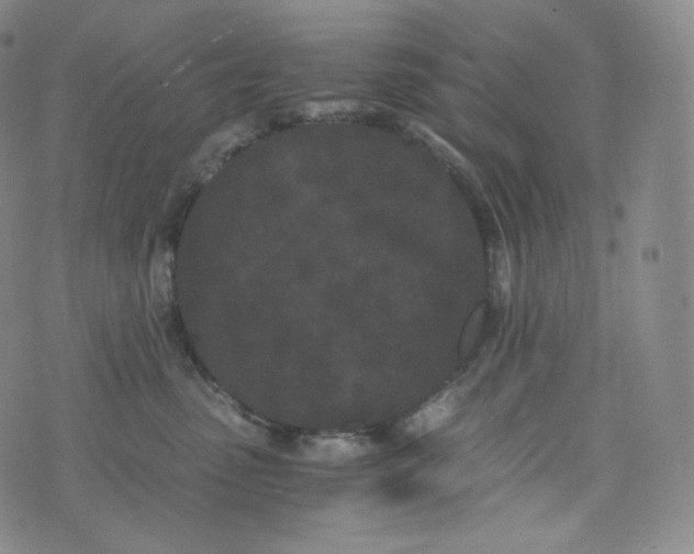 X0000076250475200610122210