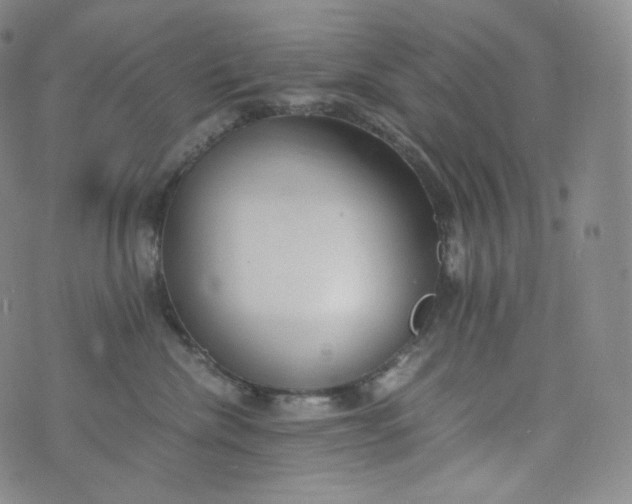 X0000076250476200610122210