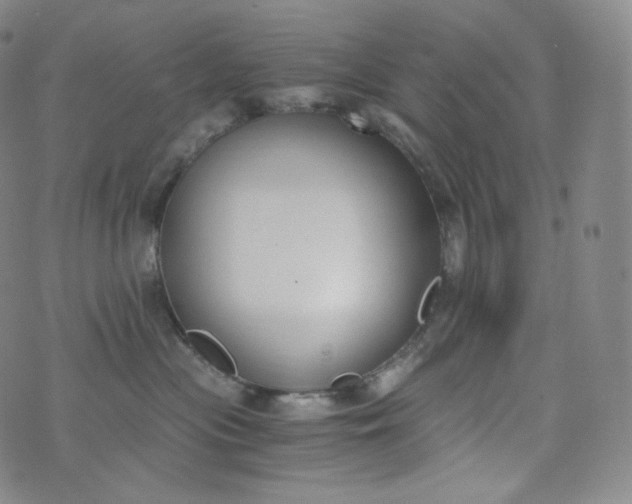 X0000076250477200610122210