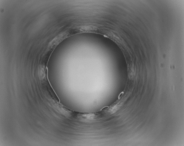 X0000076250478200610122210