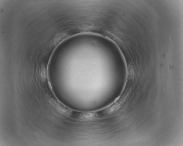 X0000076250479200610122210