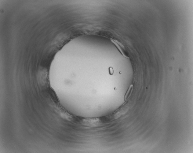 X0000076250480200610122210