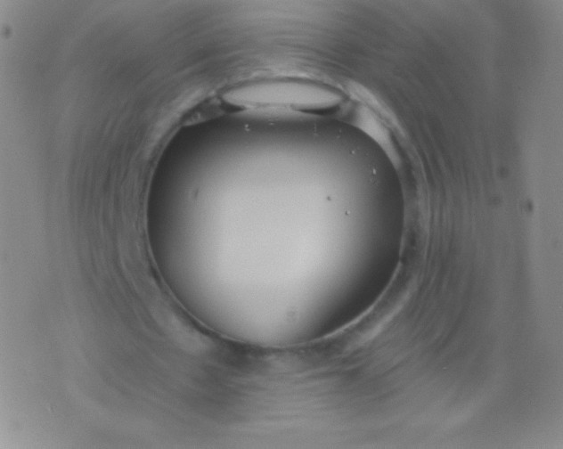 X0000076250481200610122209