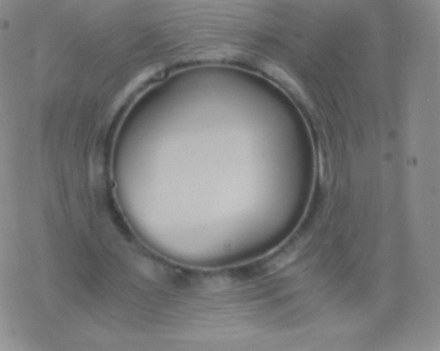 X0000076250483200610122209