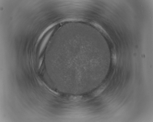 X0000076250484200610122209