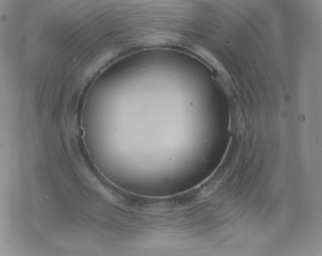 X0000076250485200610122209