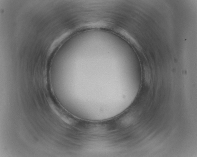 X0000076250486200610122209