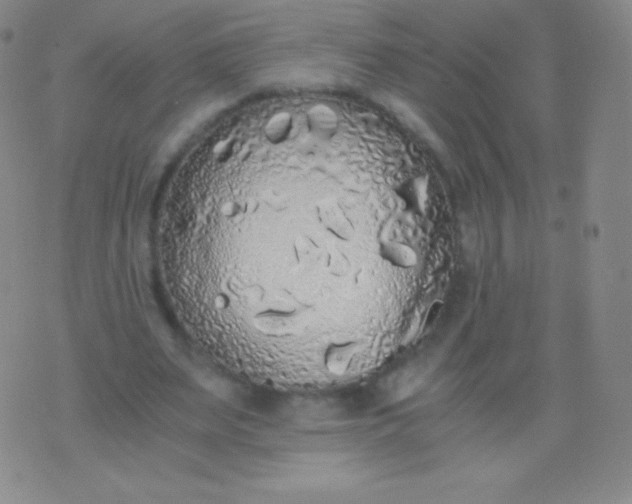 X0000076250487200610122209