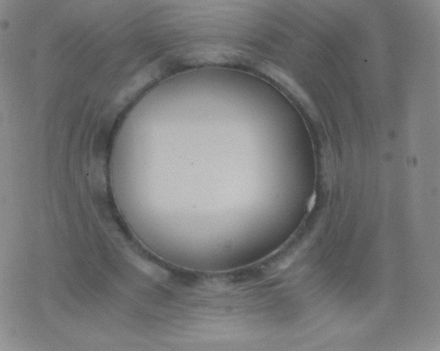 X0000076250489200610122209