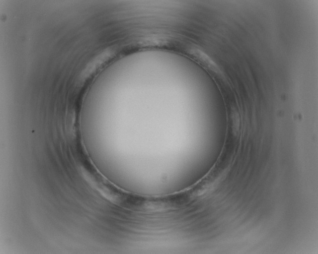 X0000076250490200610122209