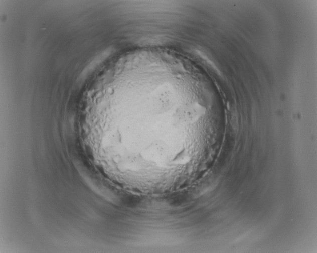 X0000076250491200610122209