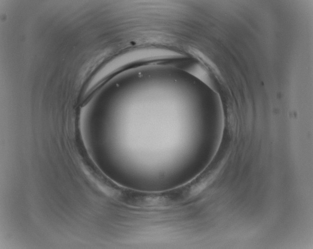 X0000076250493200610122209