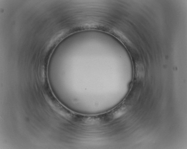 X0000076250494200610122209