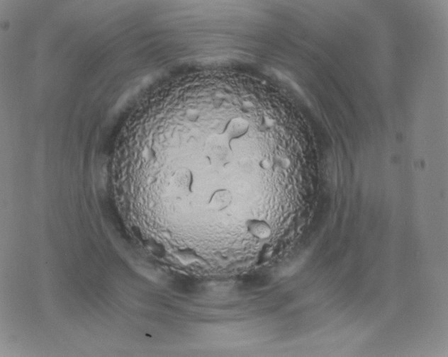 X0000076250495200610122209