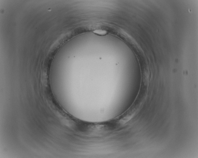 X0000076250497200610122209