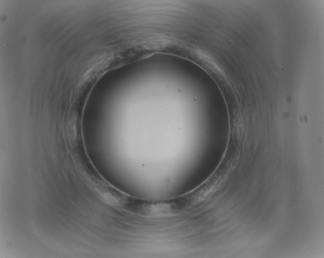 X0000076250501200610122209