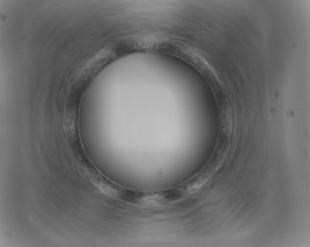 X0000076250505200610122209