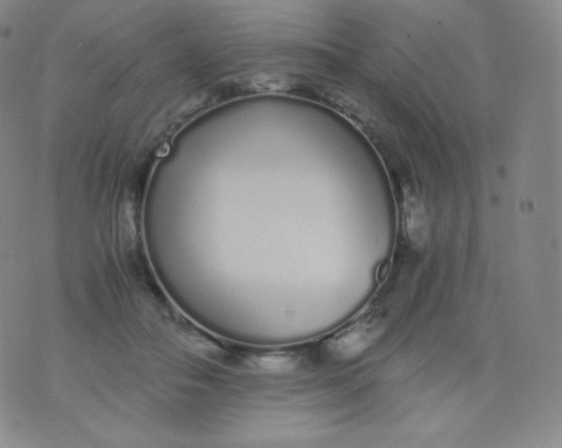 X0000076250506200610122209