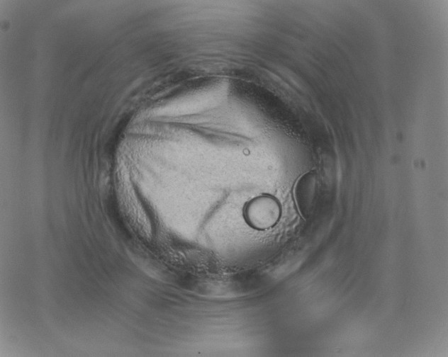 X0000076250507200610122209