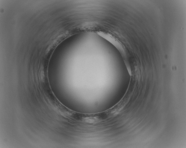 X0000076250508200610122208