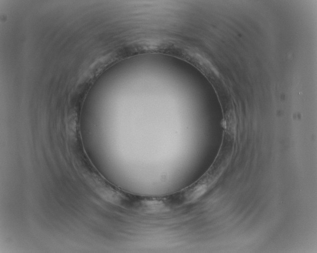 X0000076250509200610122208