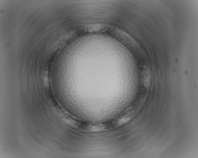 X0000076250510200610122208