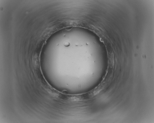 X0000076250511200610122208