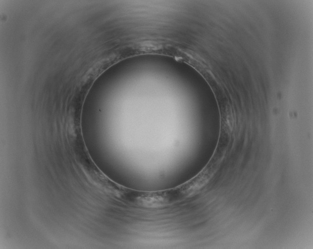 X0000076250512200610122208