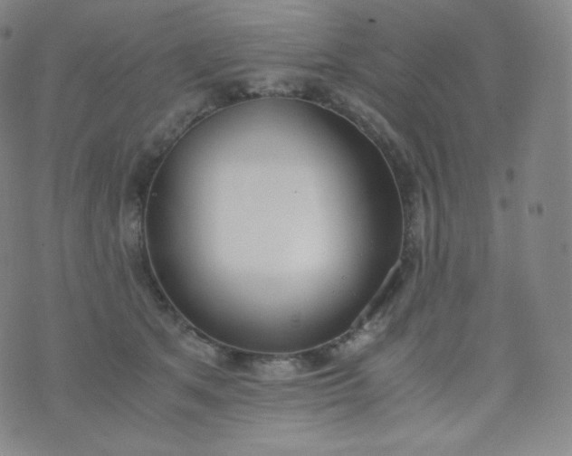 X0000076250513200610122208