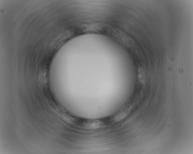 X0000076250514200610122208