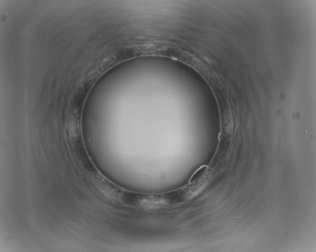 X0000076250515200610122208