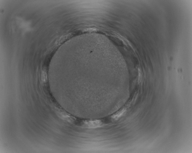 X0000076250517200610122208