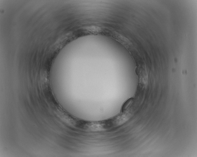 X0000076250518200610122208