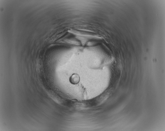 X0000076250519200610122208