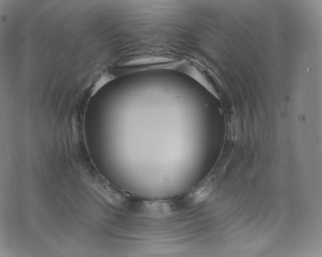 X0000076250520200610122208