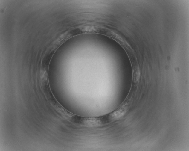 X0000076250521200610122208