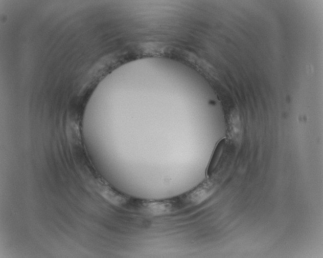 X0000076250522200610122208