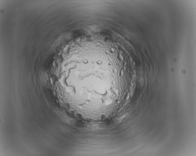 X0000076250523200610122208